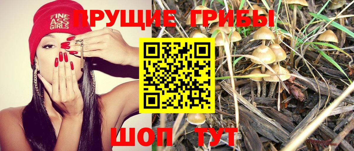 Псилоцибиновые грибы Magic Shrooms  Вход с VPN  Углич 